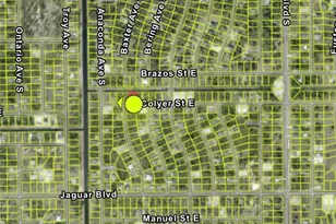 713 Colyer St E, Lehigh Acres, FL 33974 - Photo 18