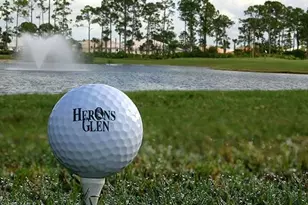 20811 Athenian Ln, North Fort Myers, FL 33917 - Photo 40