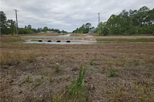 2201 W 12th St, Lehigh Acres, FL 33972 - Photo 8