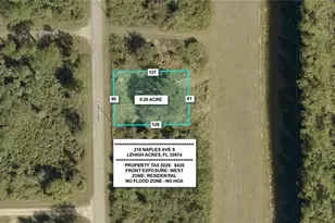 215 Naples Ave S, Lehigh Acres, FL 33974 - Photo 1