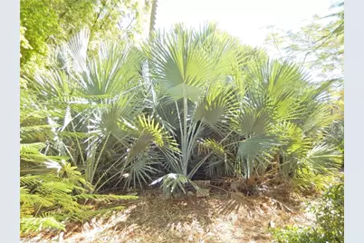 222 SE 46th Ter, Cape Coral, FL 33904 - Photo 8