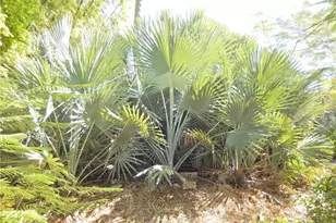 222 SE 46th Ter, Cape Coral, FL 33904 - Photo 8