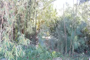 222 SE 46th Ter, Cape Coral, FL 33904 - Photo 6