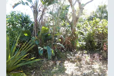 222 SE 46th Ter, Cape Coral, FL 33904 - Photo 12