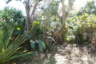 222 SE 46th Ter, Cape Coral, FL 33904 - Photo 12