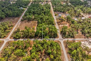 4206 East 13th Street, Lehigh Acres, FL 33972 - Photo 12