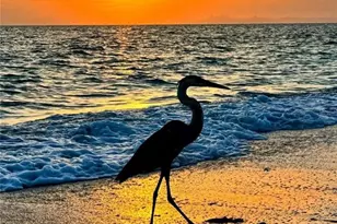 18038 San Carlos Blvd, Fort Myers Beach, FL 33931 - Photo 42