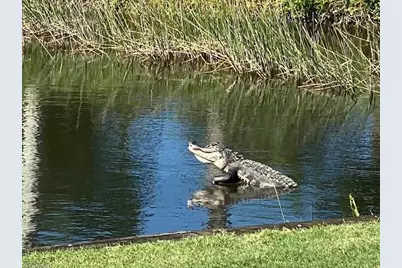 10440 Wine Palm Rd #5611, Fort Myers, FL 33966 - Photo 36