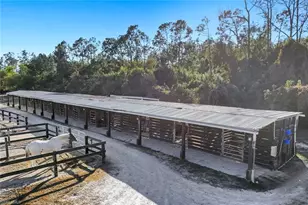 13731 E Terry St, Bonita Springs, FL 34135 - Photo 44