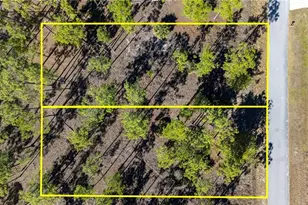 1011 Washington Ave, Lehigh Acres, FL 33972 - Photo 16