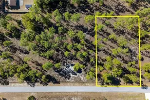 1011 Washington Ave, Lehigh Acres, FL 33972 - Photo 1