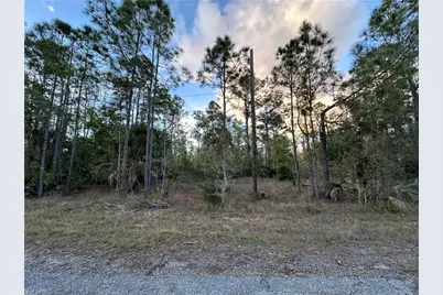 302 Spokane Ave, Lehigh Acres, FL 33972 - Photo 1