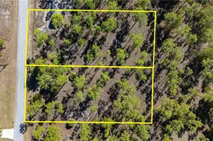 1009 Washington Ave, Lehigh Acres, FL 33972 - Photo 18