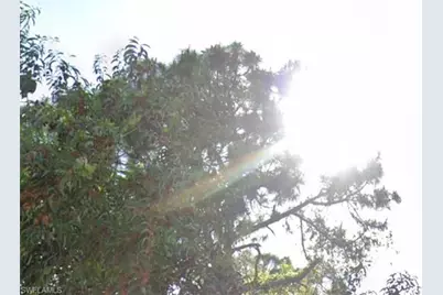 503 Canton Ave, Lehigh Acres, FL 33972 - Photo 8