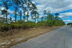 3403 East 9th Street, Lehigh Acres, FL 33972 - Photo 2