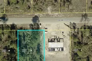852 Calumet St E, Lehigh Acres, FL 33974 - Photo 1