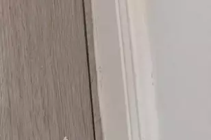 8014 Sunrise Cir, Labelle, FL 33935 - Photo 10