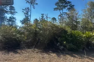 460 Lackey Ave S, Lehigh Acres, FL 33974 - Photo 6