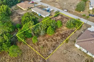 2229-2231 Fairway Dr, Lehigh Acres, FL 33973 - Photo 6