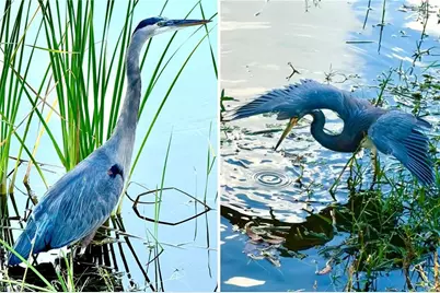 14593 Aeries Way Dr, Fort Myers, FL 33912 - Photo 4