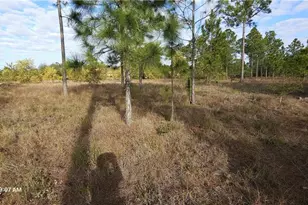 1116 Columbus Ave, Lehigh Acres, FL 33972 - Photo 12