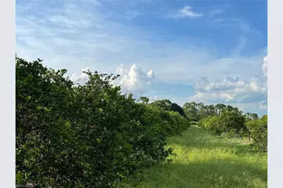 6380 + 6340 6th Rd, Labelle, FL 33935 - Photo 4