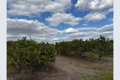 6380 + 6340 6th Rd, Labelle, FL 33935 - Photo 6