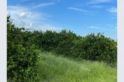 6380 + 6340 6th Rd, Labelle, FL 33935 - Photo 2