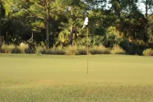 3341 Chestnut Grove Dr, Alva, FL 33920 - Photo 48