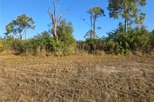 2849 NW 4th Terrace, Cape Coral, FL 33993 - Photo 2