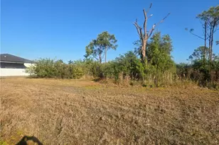 2849 NW 4th Terrace, Cape Coral, FL 33993 - Photo 4