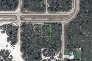 1233 Island Pkwy NE, Lake Placid, FL 33852 - Photo 1