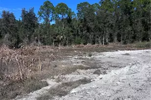 2702 26th St W, Lehigh Acres, FL 33971 - Photo 4