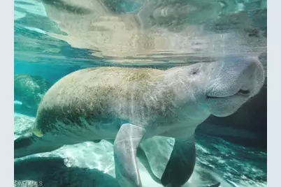 3008 38th St SW, Lehigh Acres, FL 33976 - Photo 22