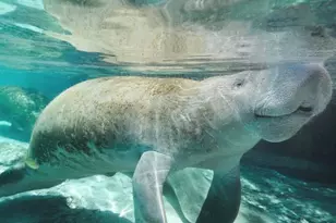 3008 38th St SW, Lehigh Acres, FL 33976 - Photo 22