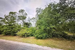 1419 Sheldon Ave, Lehigh Acres, FL 33972 - Photo 2