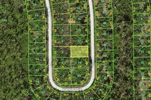 10559 Mangrove Cir, Port Charlotte, FL 33981 - Photo 1