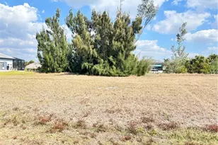 2347 NW 38th Ave, Cape Coral, FL 33993 - Photo 4