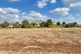 1633 NW 32nd Ct, Cape Coral, FL 33993 - Photo 1