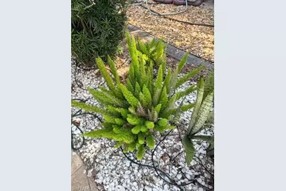 5284 Cypress Trail Resort Cir, Fort Myers, FL 33905 - Photo 22