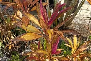 5284 Cypress Trail Resort Cir, Fort Myers, FL 33905 - Photo 20