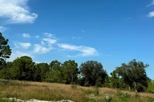 1619 Fitch Ave, Lehigh Acres, FL 33972 - Photo 4