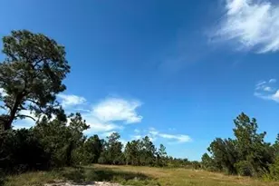 1619 Fitch Ave, Lehigh Acres, FL 33972 - Photo 2