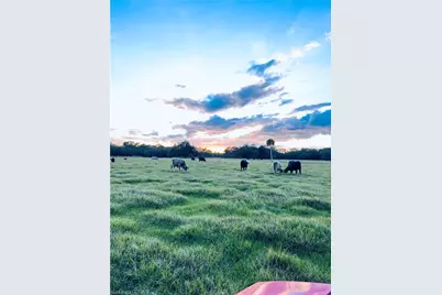 3790 Goggin Rd, Alva, FL 33920 - Photo 24