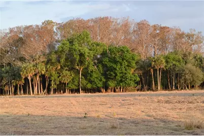 3790 Goggin Rd, Alva, FL 33920 - Photo 32