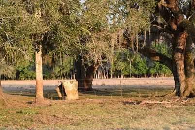 3790 Goggin Rd, Alva, FL 33920 - Photo 34