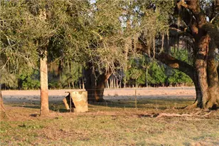 3790 Goggin Rd, Alva, FL 33920 - Photo 34