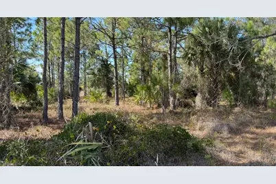 844 Bianca Ave S, Lehigh Acres, FL 33974 - Photo 14