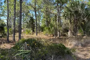 844 Bianca Ave S, Lehigh Acres, FL 33974 - Photo 14