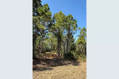 844 Bianca Ave S, Lehigh Acres, FL 33974 - Photo 8